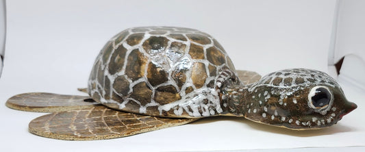 Tartaruga