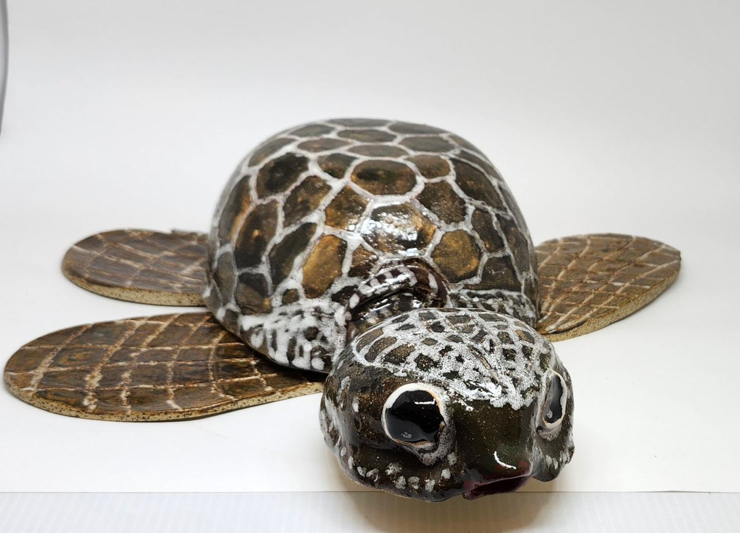 Tartaruga
