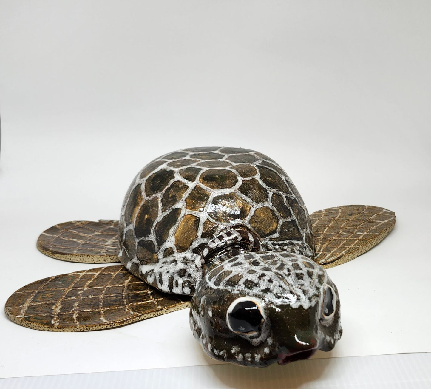 Tartaruga